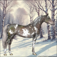 Horse Color:Platinum White Spotted Liver Chestnut Rabicano 