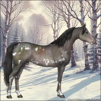 Horse Color:Platinum White Spotted Liver Chestnut 