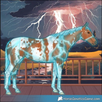 Horse Color:Thunderstruck White Spotted Silver Bay Tobiano 