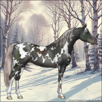 Horse Color:Platinum White Spotted Liver Chestnut 