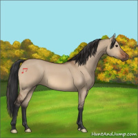 Horse Color:Bay Dun