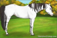 Horse Color:Bay Tobiano Near Fewspot 