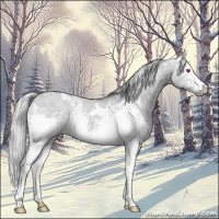 Horse Color:White Spotted Silver Grullo Chinchilla Ice 
