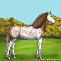Horse Color:Chestnut Splash  and Chestnut Splash Frame 