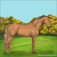Horse Color:Chestnut  and Chestnut 
