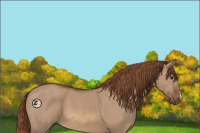Horse Color:Red Dun 