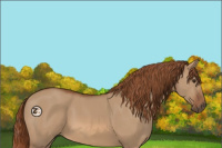 Horse Color:Red Dun 