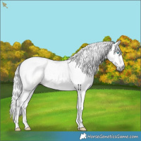 Horse Color:Gray Silver Smoky Creme 