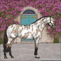 Horse Color:Liver Red Dun Near Leopard Brindle 
