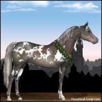 Horse Color:Platinum White Spotted Liver Chestnut 