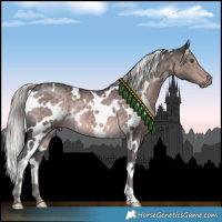 Horse Color:Platinum White Spotted Chocolate Palomino