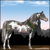 Horse Color:Platinum White Spotted Liver Chestnut 