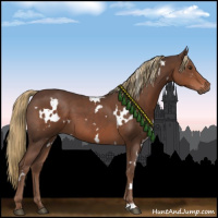 Horse Color:White Spotted Liver Chestnut 