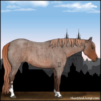 Horse Color:Liver Red Roan Sabino 
