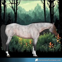 Horse Color:Brown Roan Tobiano 