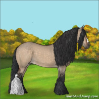 Horse Color:Brown Dun 