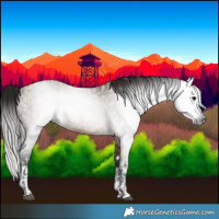 Horse Color:Gray Brown Roan Rabicano  and Gray Buckskin Rabicano 