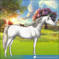 Horse Color:Buckskin Roan Pearl  and Amber Cream Champagne Roan Pearl 