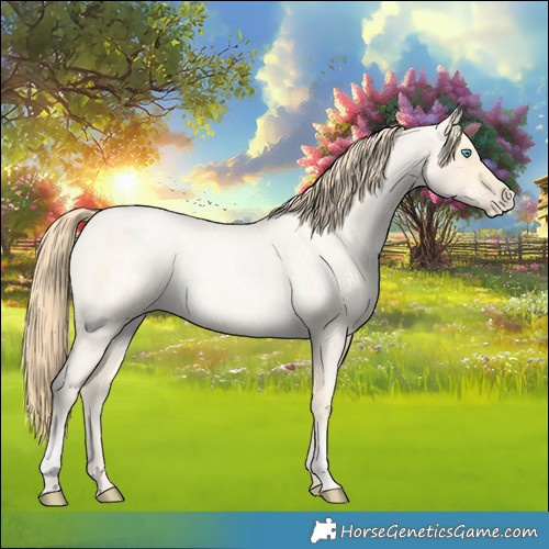 Horse Color:Buckskin Roan Pearl  and Buckskin Roan Pearl 