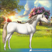 Horse Color:Buckskin Roan Pearl  and Buckskin Roan Pearl 