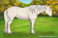 Horse Color:Cremello  and Cremello 