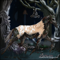 Horse Color:Bay Dun Splash Appaloosa