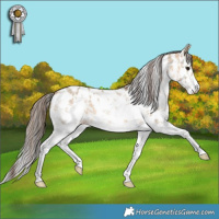 Horse Color:Bay Dun Sabino Near Leopard 