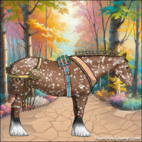 Horse Color:Gray Black Pearl Appaloosa
