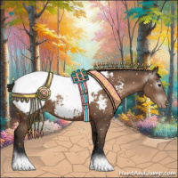 Horse Color:Gray Black Pearl Appaloosa