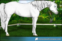 Horse Color:Gray Cremello Roan Splash  and Gray Palomino Roan Pearl Splash 