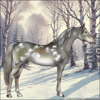 Horse Color:White Spotted Liver Red Dun Mushroom 