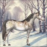 Horse Color:White Spotted Liver Red Dun Onyx Mushroom Frame Brindle 