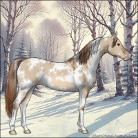 Horse Color:White Spotted Red Dun 