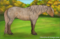Horse Color:Chocolate Palomino Roan