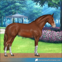 Horse Color:Chestnut Splash Frame 