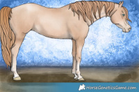 Horse Color:Gold Champagne Pearl Rabicano  and Gold Champagne Pearl Rabicano 