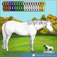 Horse Color:Chocolate Palomino Ice Dun Splash Tobiano Varnish Rabicano  and Chocolate Palomino Ice Dun Sabino Splash Tobiano Varnish Rabicano 