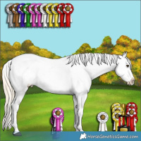 Horse Color:Chocolate Palomino Ice Dun Splash Tobiano Frame Varnish Rabicano  and Chocolate Palomino Ice Roan Dun Sabino Splash Frame Varnish Rabicano 