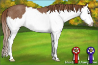 Horse Color:Red Roan Sabino Splash Rabicano