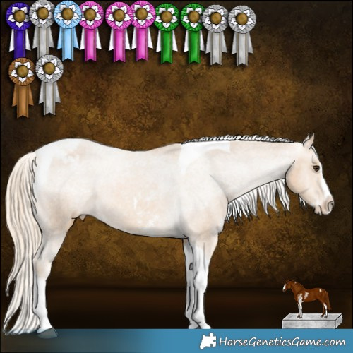 Horse Color:Palomino Sabino Splash Tobiano Appaloosa 