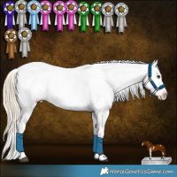 Horse Color:Palomino Sabino Splash Tobiano Appaloosa 