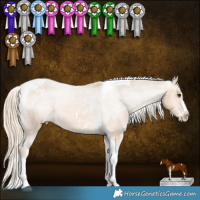 Horse Color:Palomino Sabino Splash Tobiano Appaloosa
