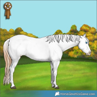 Horse Color:Chestnut Ice Splash Tobiano Varnish Rabicano 