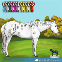 Horse Color:Chocolate Palomino Ice Roan Splash Tobiano Frame Appaloosa Rabicano  and Liver Chestnut Ice Sabino Splash Tobiano Frame Appaloosa Rabicano 