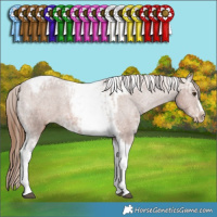 Horse Color:Chestnut Ice Splash Tobiano Frame Appaloosa Rabicano and Chestnut Ice Sabino Splash Tobiano Frame Appaloosa Rabicano