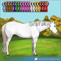 Horse Color:Chestnut Ice Splash Tobiano Frame Appaloosa Rabicano  and Chestnut Ice Sabino Splash Tobiano Frame Appaloosa Rabicano 