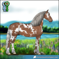 Horse Color:White Spotted Silver Black 