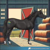 Horse Color:Smoky Black 
