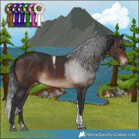 Horse Color:Brown Tobiano Rabicano