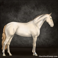 Horse Color:Buckskin Roan Pearl